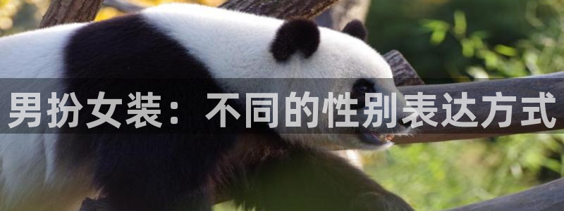 51动漫美女：男扮女装：不同的性别表达方式