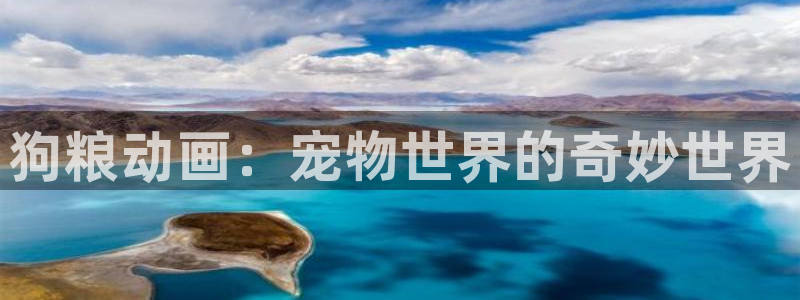 51动漫动漫：狗粮动画：宠物世界的奇妙世界