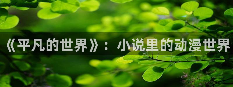 51动漫网页入口：《平凡的世界》：小说里的动漫世界
