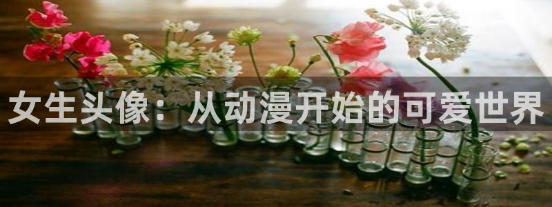 51动漫官网下载：女生头像：从动漫开始的可爱世界